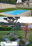 Jardineiro/Jardinagem-Construção e Manutenção de Jardins