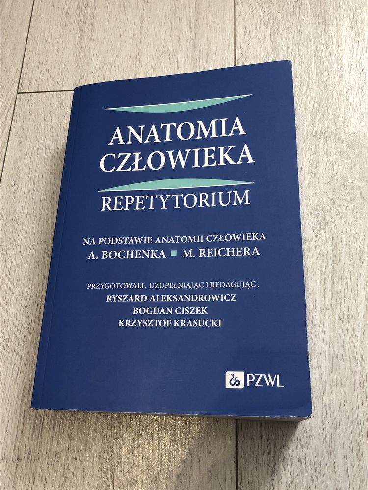 Anatomia Człowieka Repetytorium Bochenek