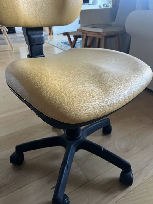 Cadeira escritorio