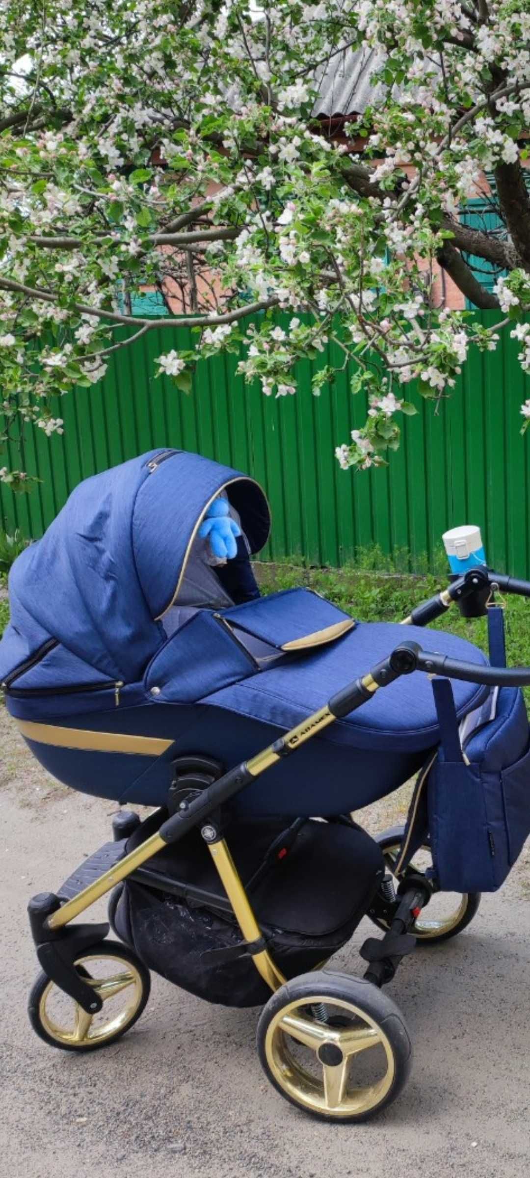 Коляска Adamex cortina