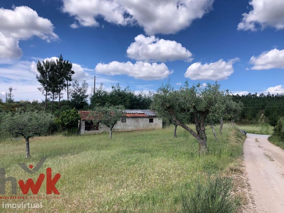 Terreno agrícola com oliveiras e casa de arrumos com 35m2