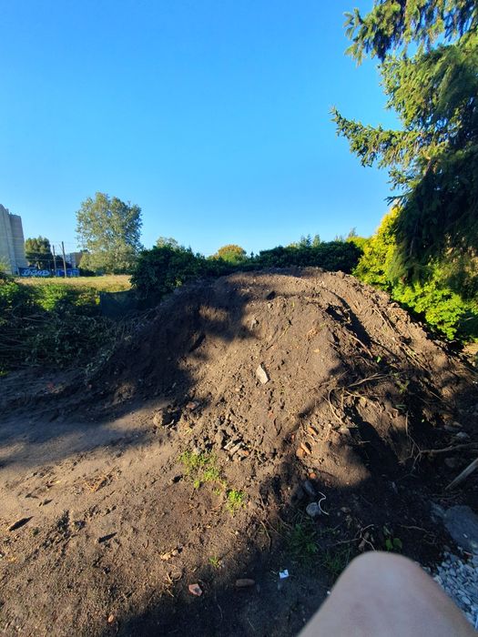 Oddam ziemię za darmo