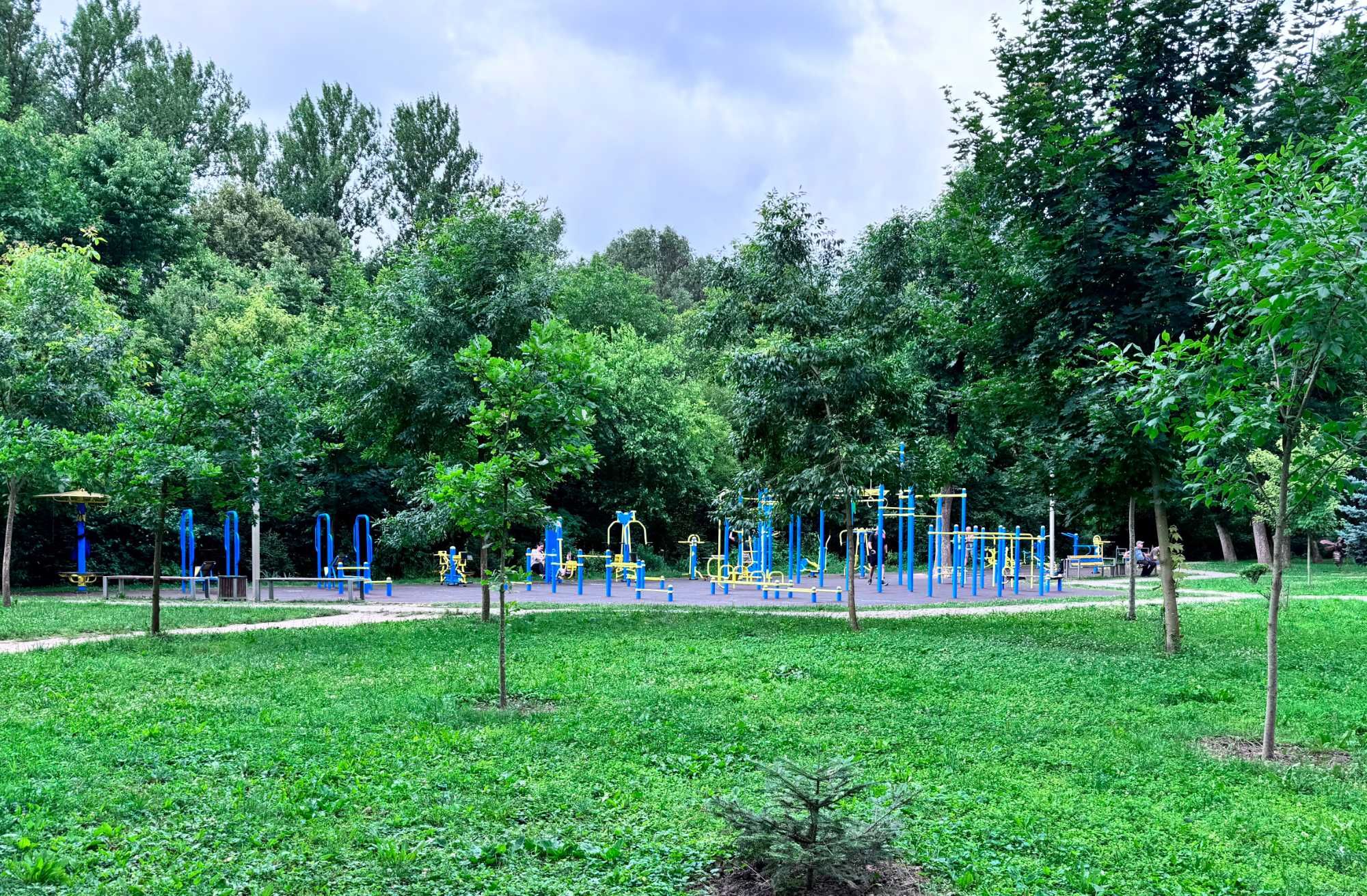 Підселення для хлопця ПАСІЧНА. Окрема кімната.