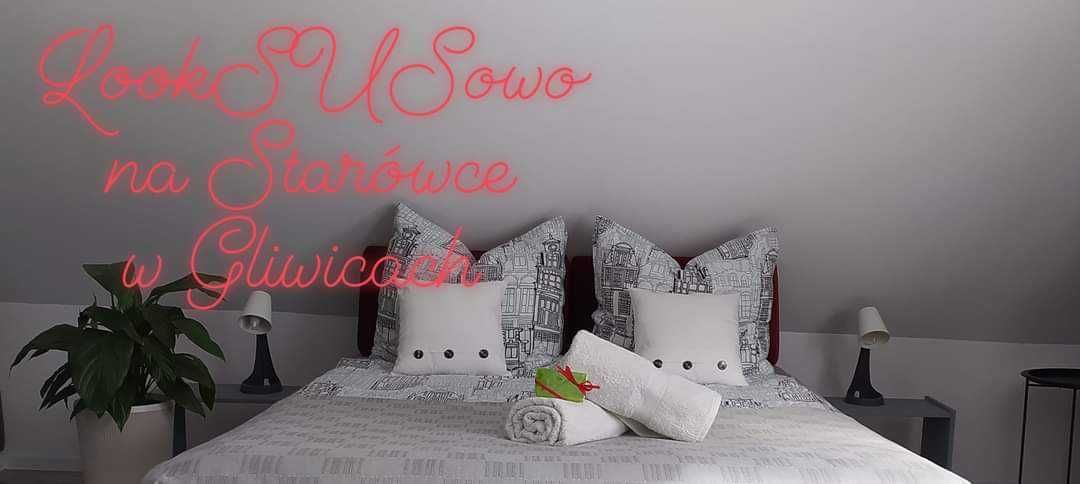 Apartament LookSUSowo na Starówce