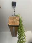 Lampa dekoracyjna sufitowa wiszaca z donicą COTTAGE loft