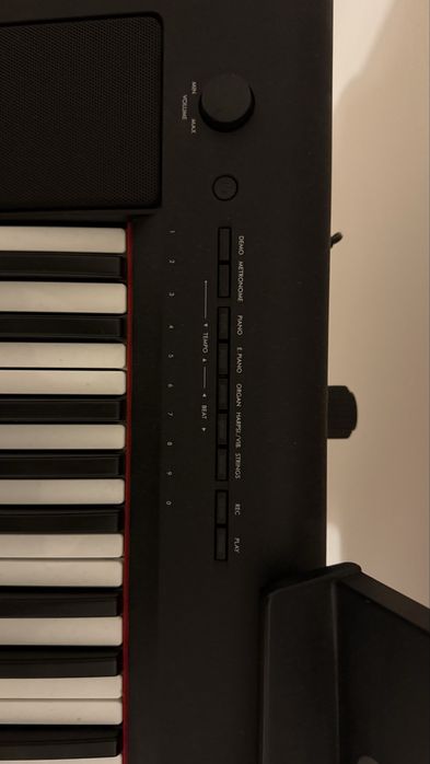 Piano Yamaha Piaggero NP-15