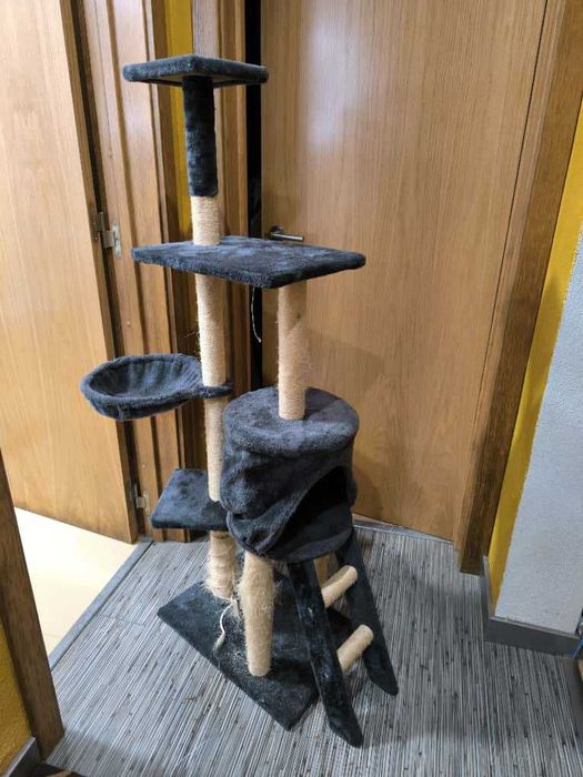 Arranhador de Gato Apenas 15eurs