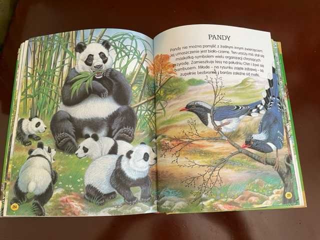 "Świat przyrody" - książka z bogatymi ilustracjami, aż 315 stron
