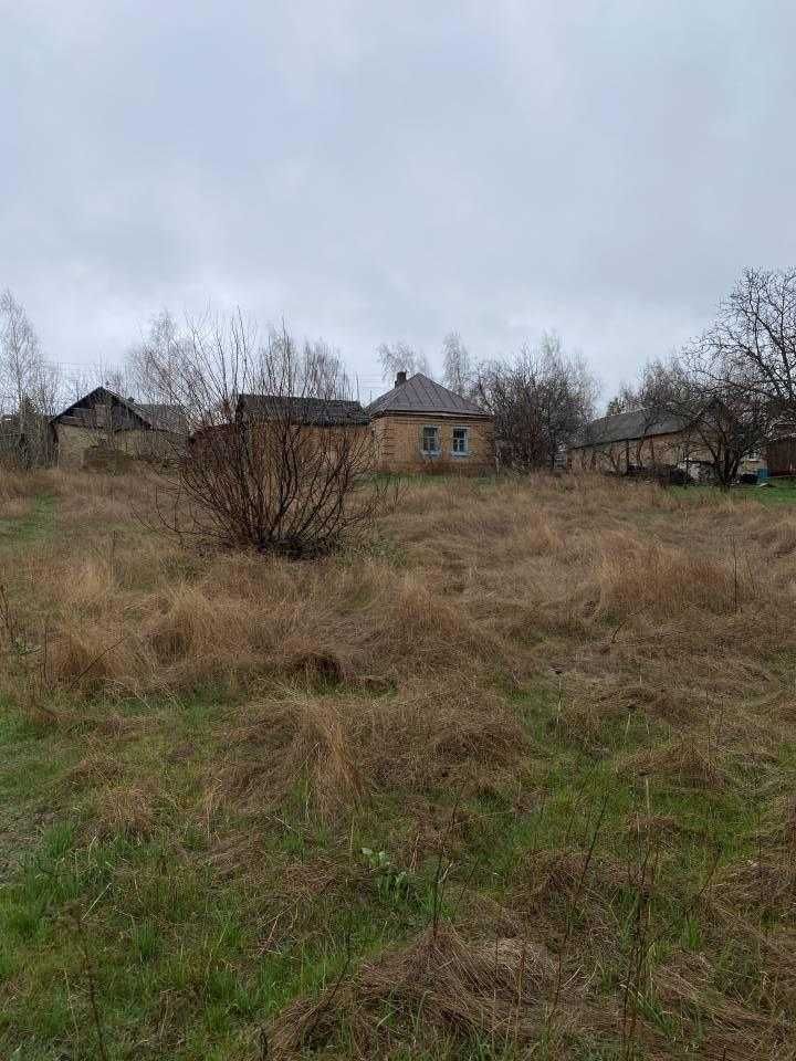 Продам Будинок з ділянкою під забудову, 51 сотка! Недалеко від Жадова