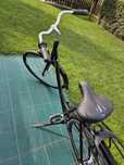 Rower damka gazelle