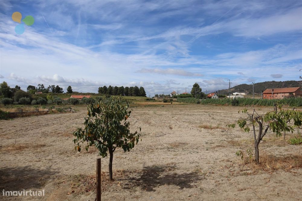 Terreno - Belmonte