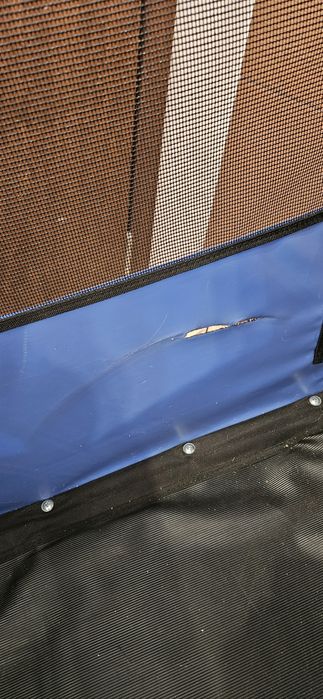 3786/25 przyczepka rowerowa dla Psa