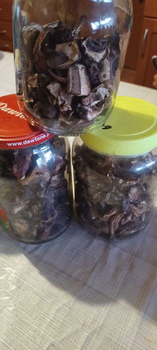 Sprzedam grzyby suszone