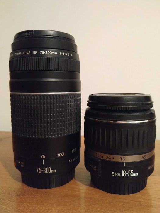 Canon EOS 1000D + 2 Objetivas