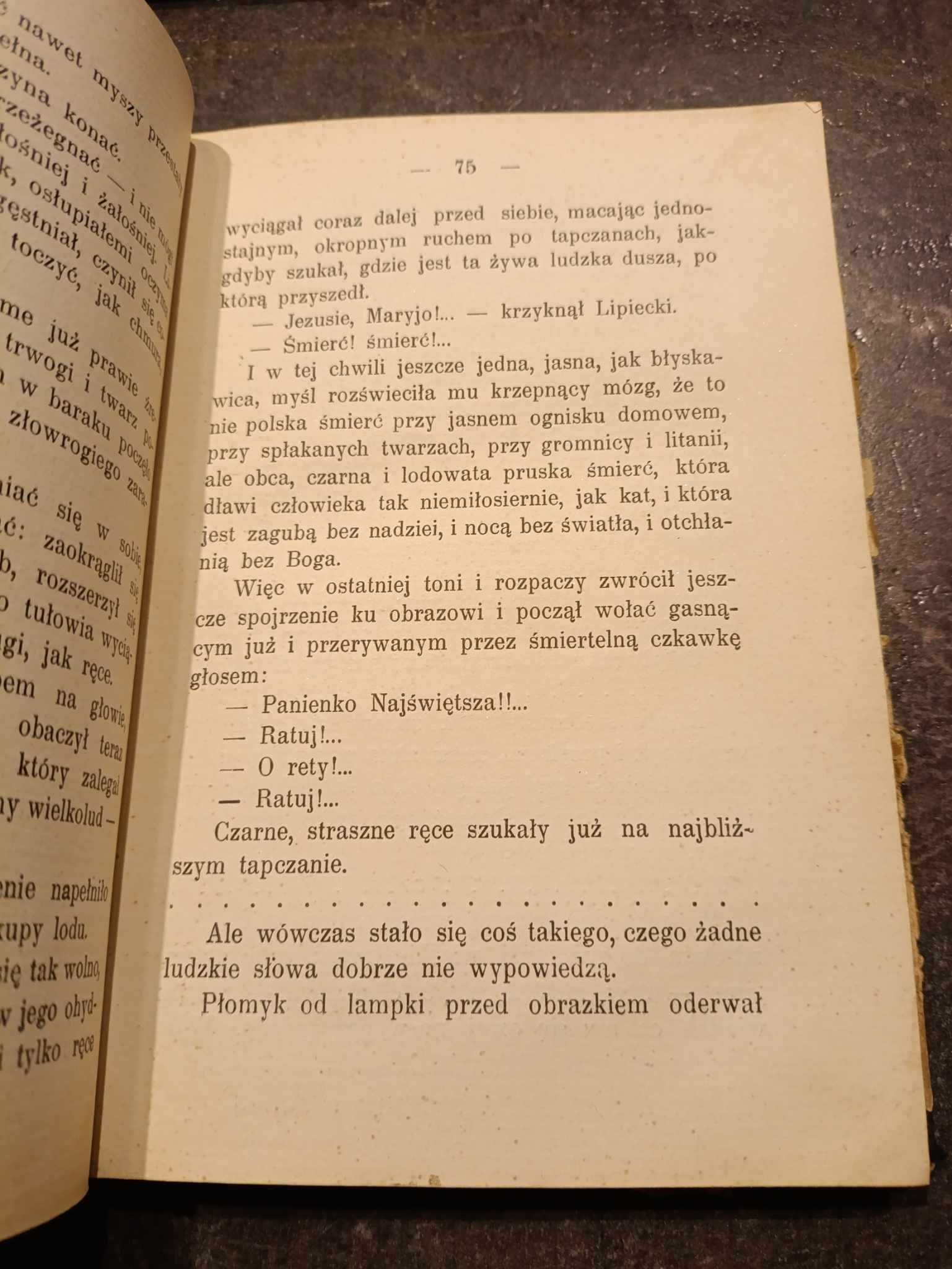 Dwie łąki - Henryk Sienkiewicz Wydanie I z 1908 roku UNIKAT