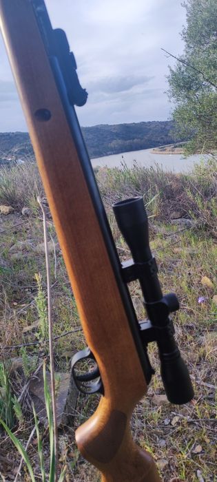 Carabina Artemis GR1250W 5.5mm + mira Zasdar 4x32