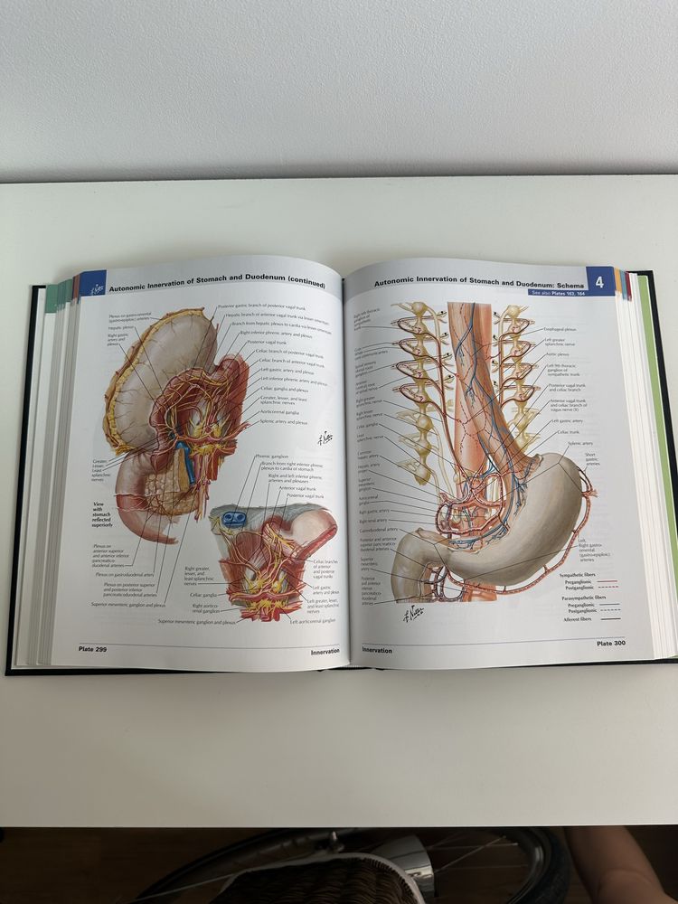 Atlas of Human Anatomy Netter, Atlas Anatomii Człowieka Nettera