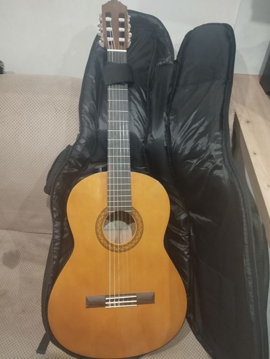 Гітара з чохлом.