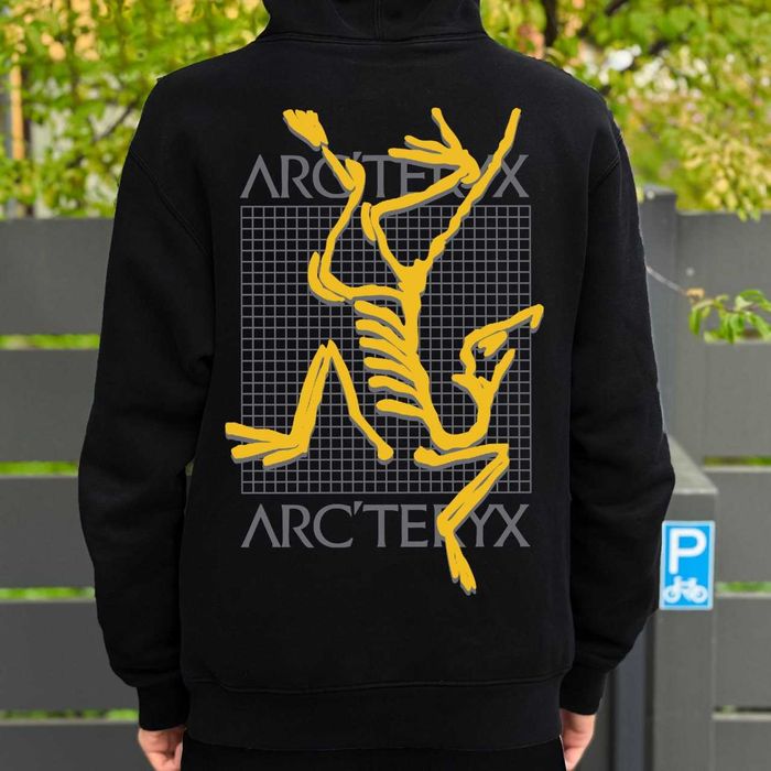 Худі ARCTERYX x PALACE Hood\ Арктерікс Пелес \ Чоловіча кофта