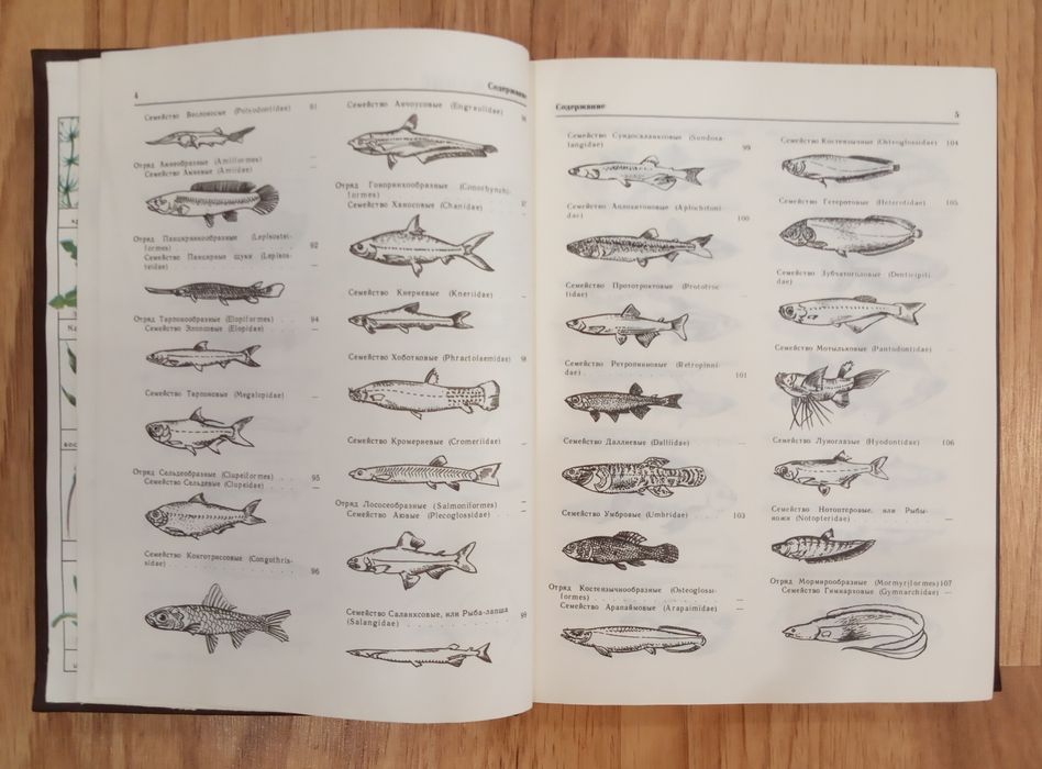 Декоративное рыбоводство. Кочетов А.М.