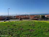 Lote Areosa, Viana do Castelo
