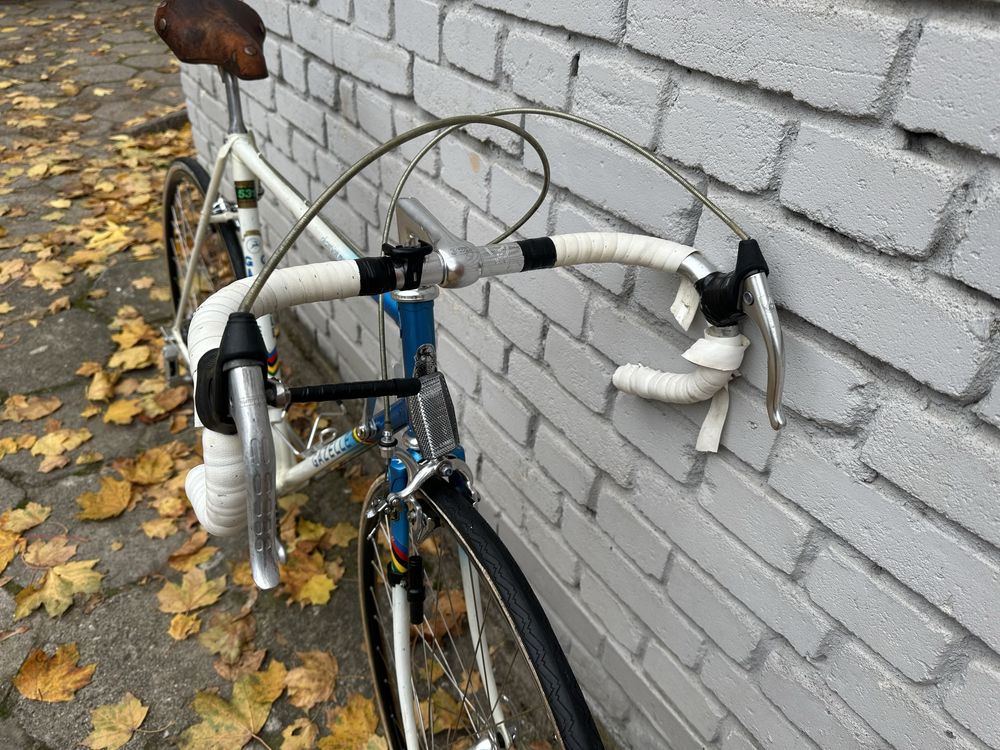 Retro rower szosowy Gazelle Champion Mondial Campagnolo Triomphe Reynl