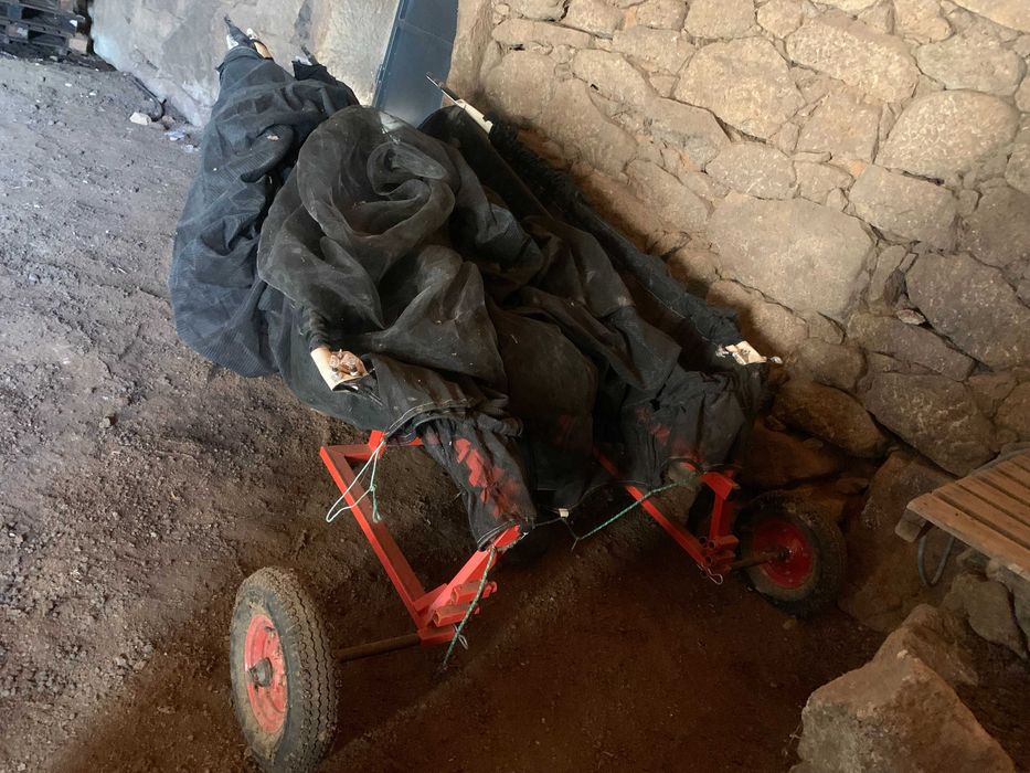 Rede professional para aceitona