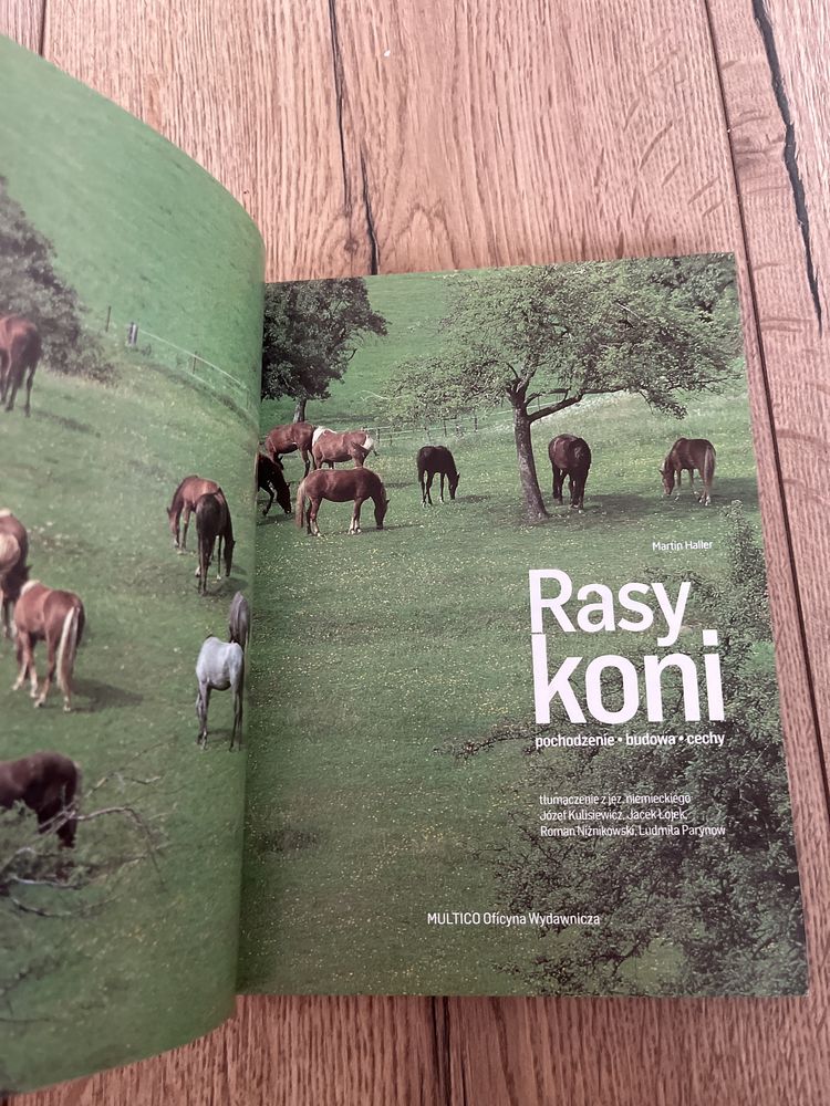 Książka Rasy koni Martin Haller