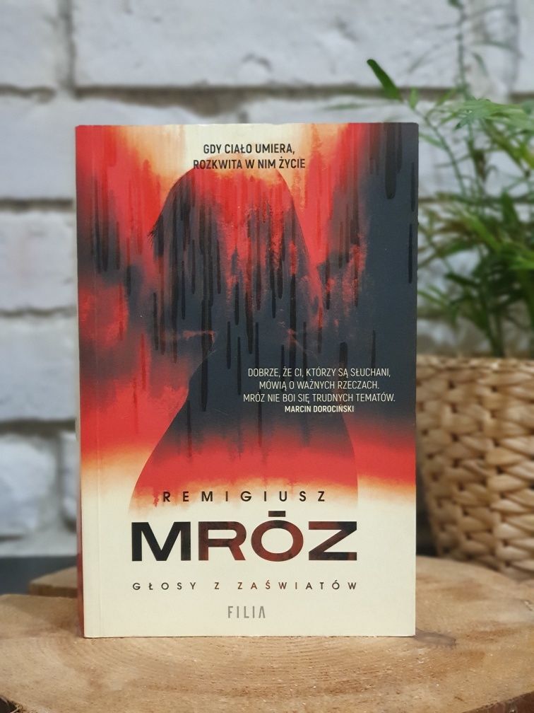 Książka Głosy z zaświatów Remigiusz Mróz / kryminał Seweryn Zaorski