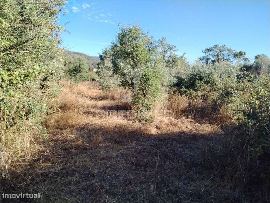 Terreno