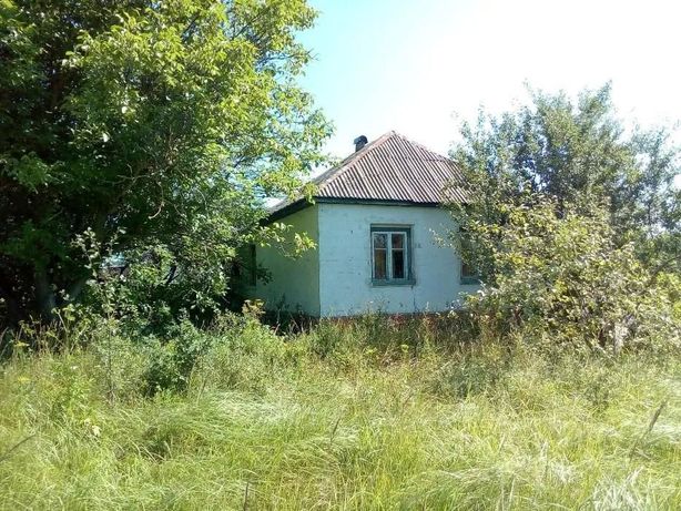 Земля с домом для совместного бизнеса, 0.44га, 100км от Киева, лес.