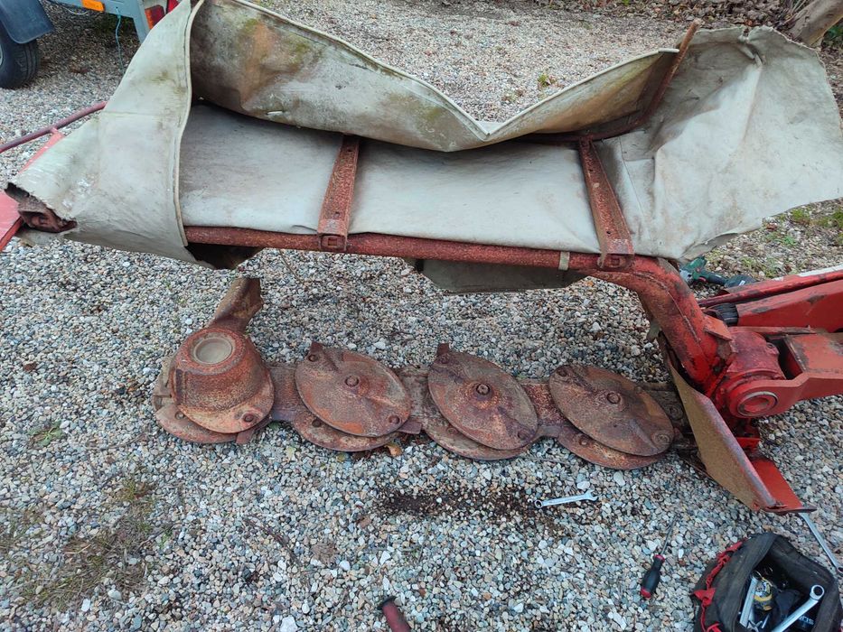 Gadanheira marca Kuhn