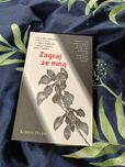 Zagraj ze  mną Kristen proby