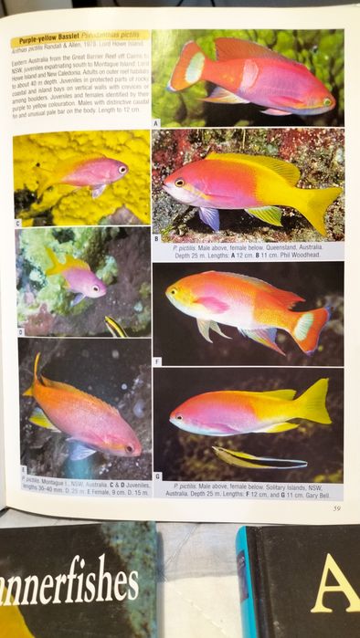 Livros aquariofilia marinha