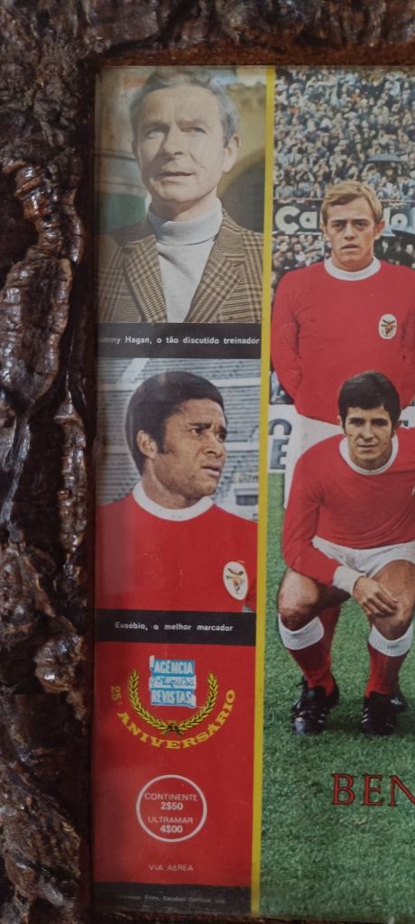Quadro do Benfica Campeao 53 anos