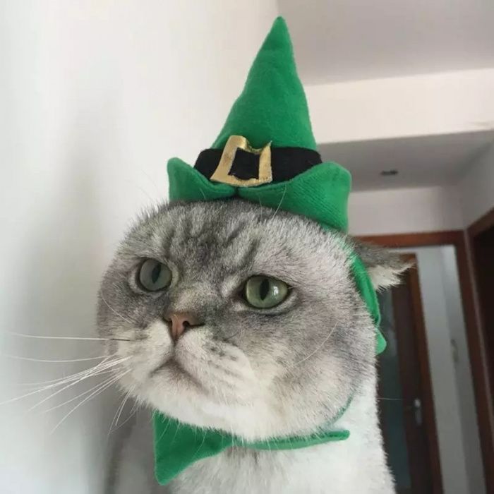 Fatos de natal para cão ou gato