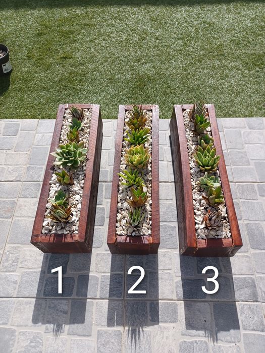 Vaso de madeira com 7 cactus (para muros ou janelas)