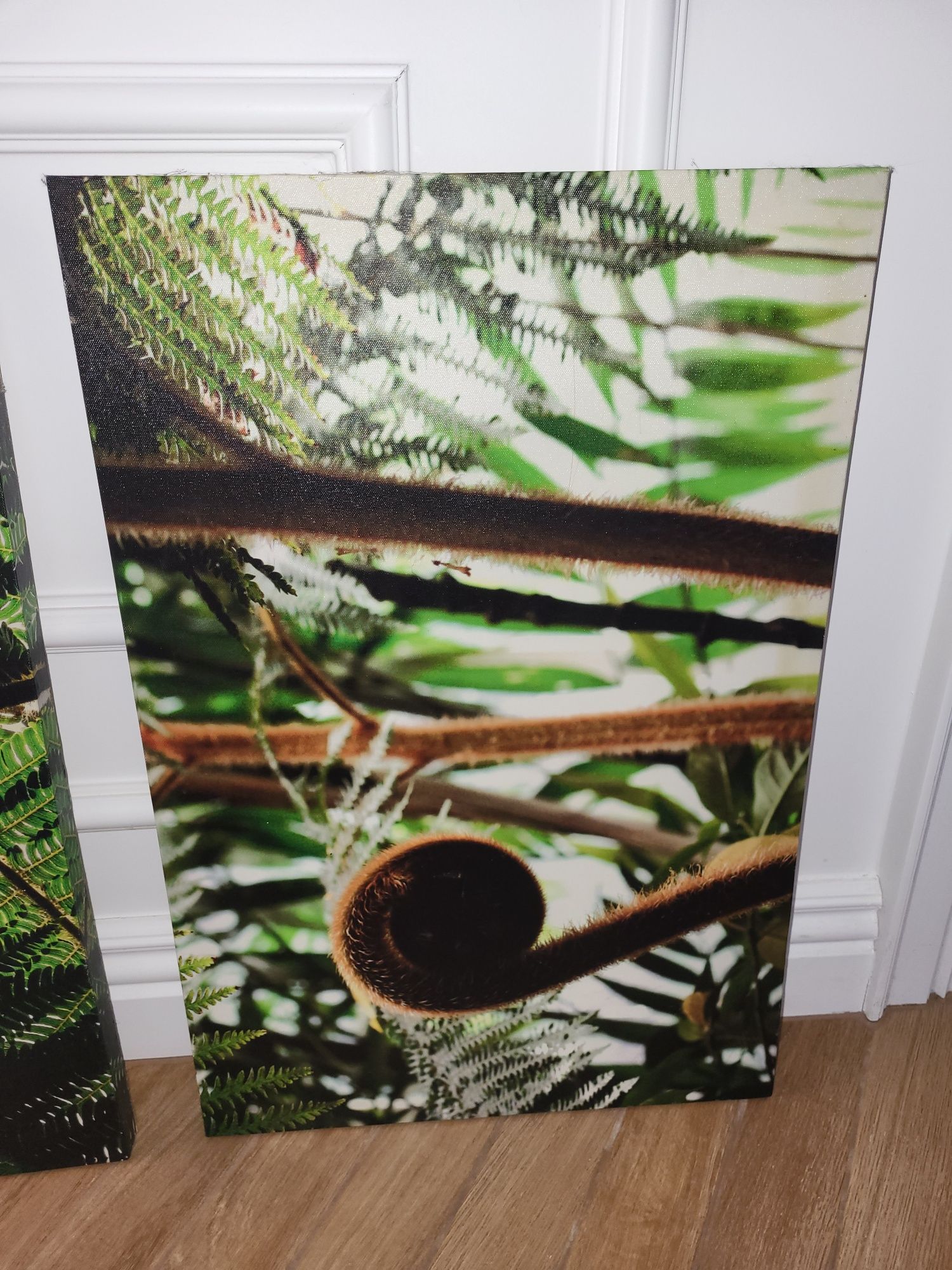 Obraz  na płótnie 40x60