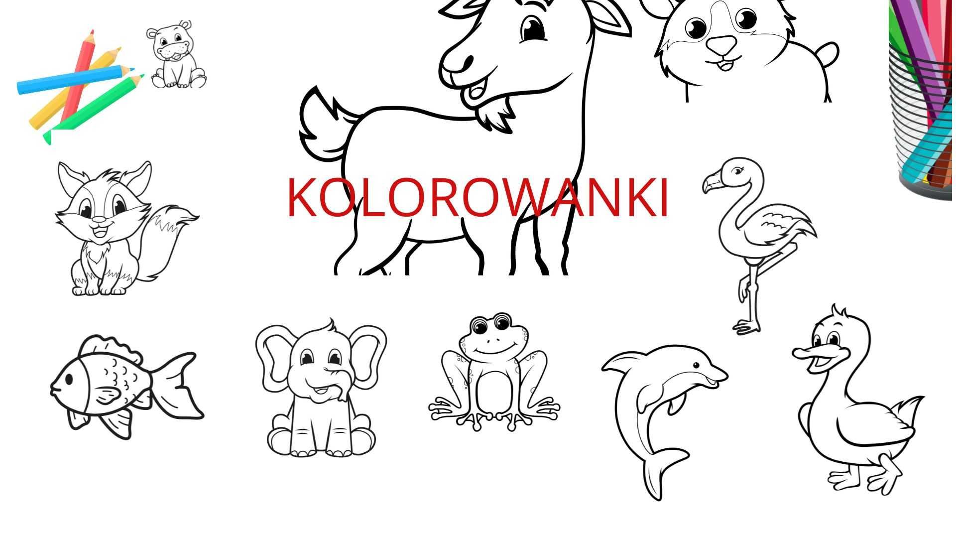 Kolorowanki PDF dla najmłodszych – zwierzęta z całego świata A4 30 STR