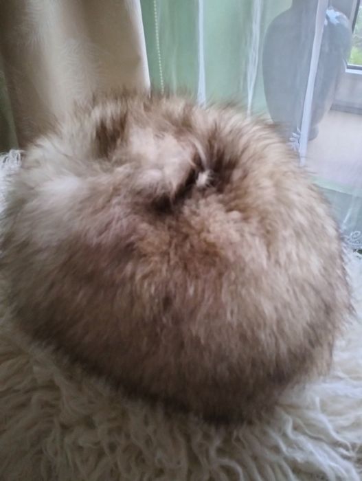 Czapka zimowa jasna .