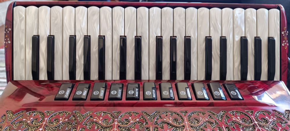 Acordeão Profissional - Dino Baffetti. Som Perfeito, condição ótima.