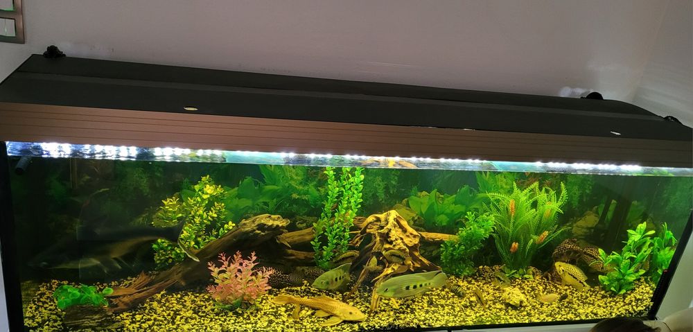 Alwarium 600l komplet