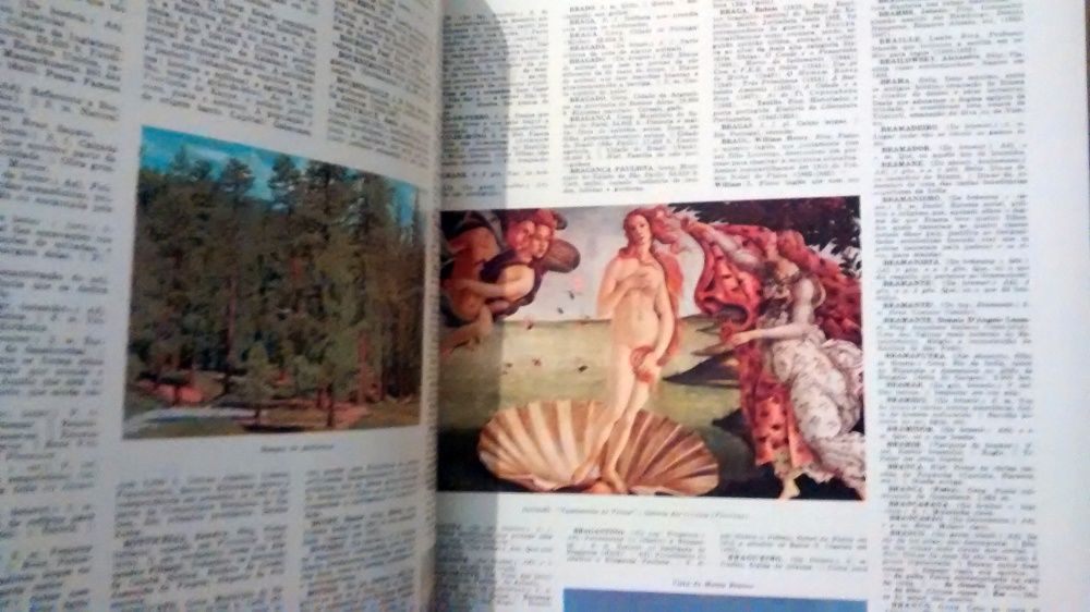 Dicionário 28 da Grolier (Ano 1970)