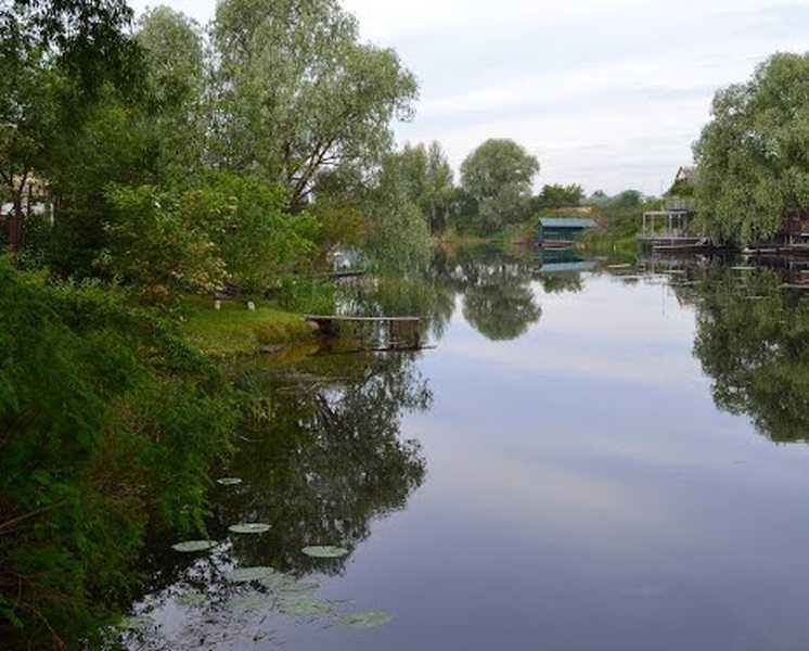 Сдаётся дом. Процев, ул. Центральная