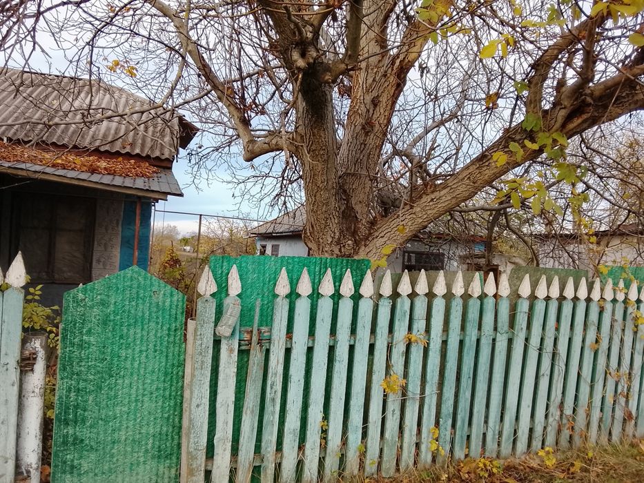 Продам будинок в Одеській області Любашовский райьоні село Іванівка