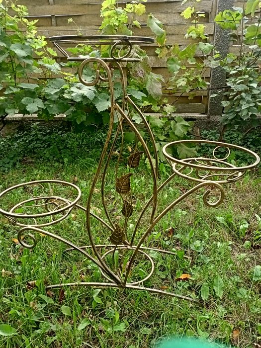 Підвазонники кований