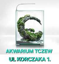 Aquael shrimp set 30 day/night kompletny zestaw Akwarium ul Korczaka 1