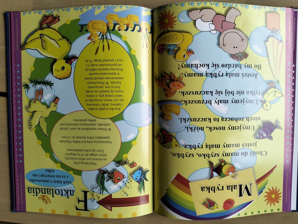 Książka Moje polskie rymowanki