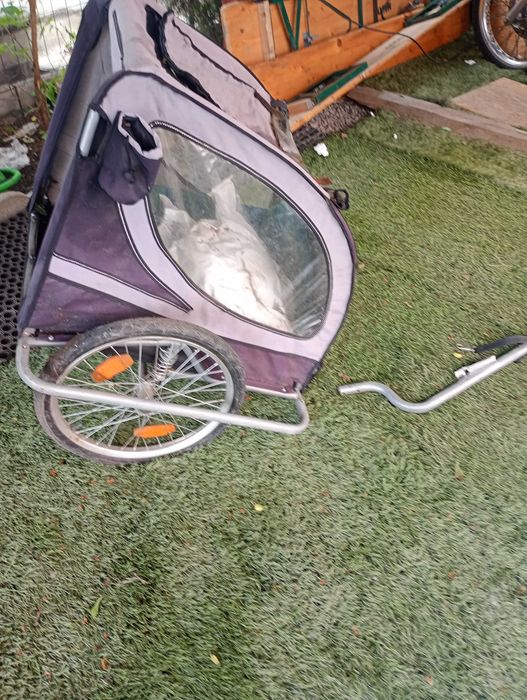 Przyczepka dla psiaka