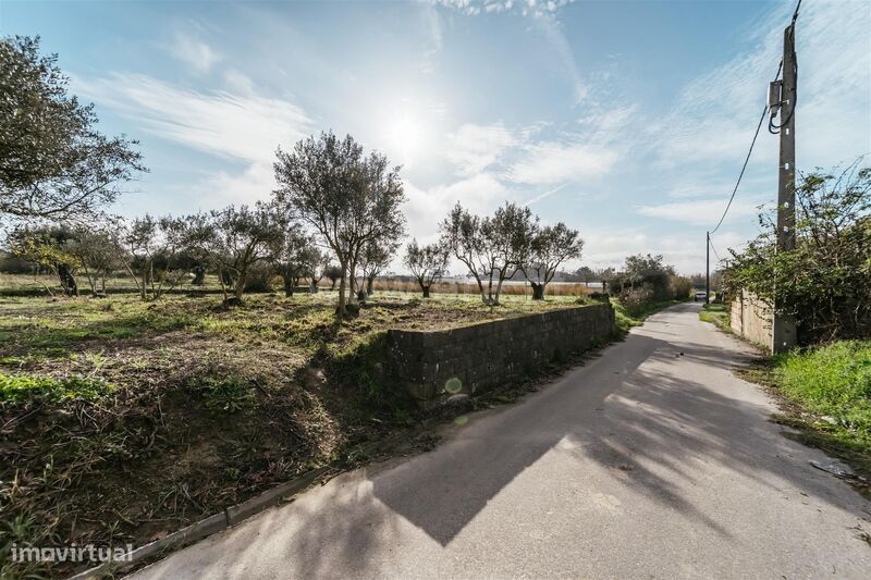 Terreno Rústico / Fundão, Alcaria